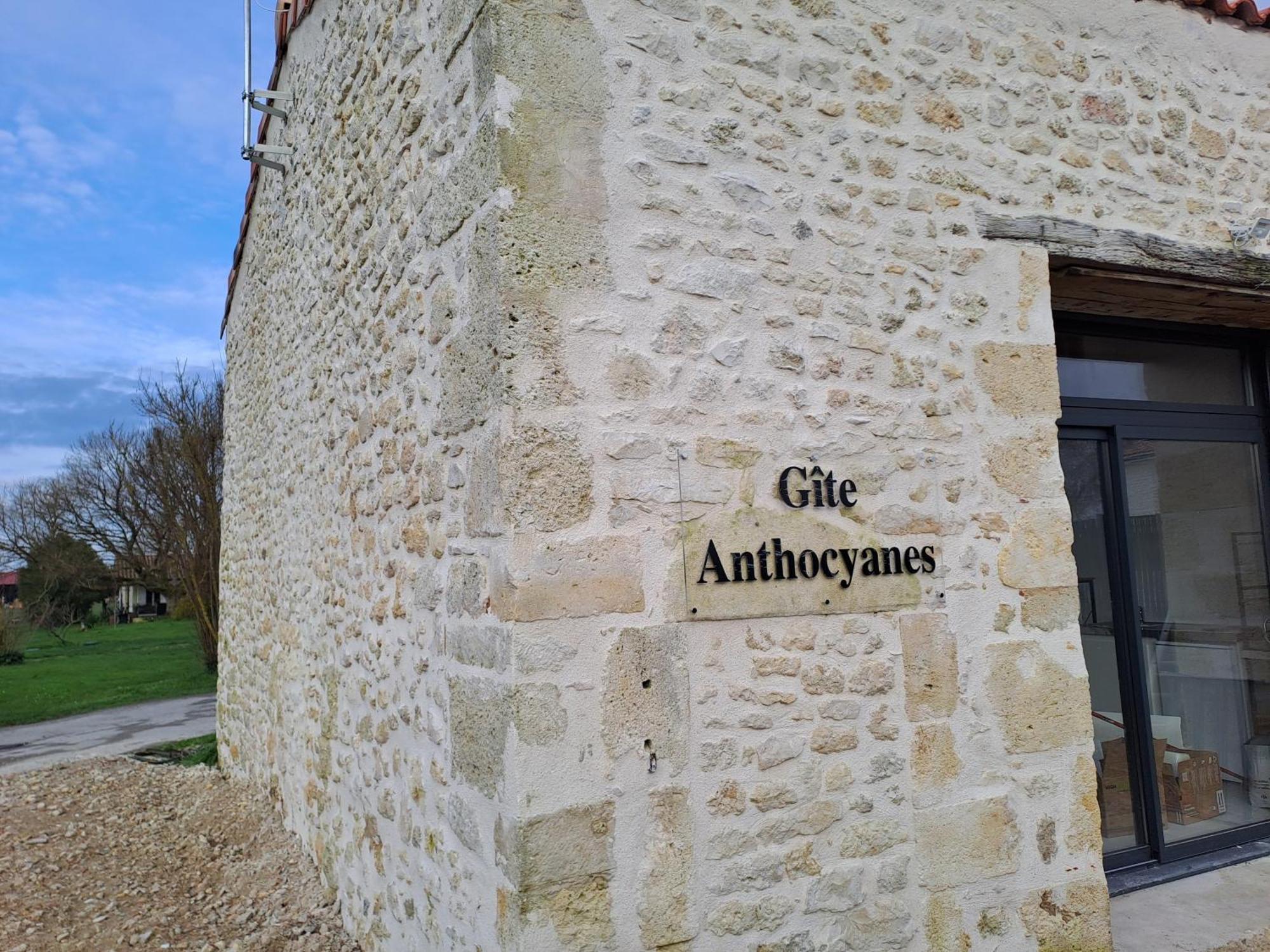 Chambres D'Hotes Chateau Pierre De Montignac Civrac-en-Médoc Dış mekan fotoğraf