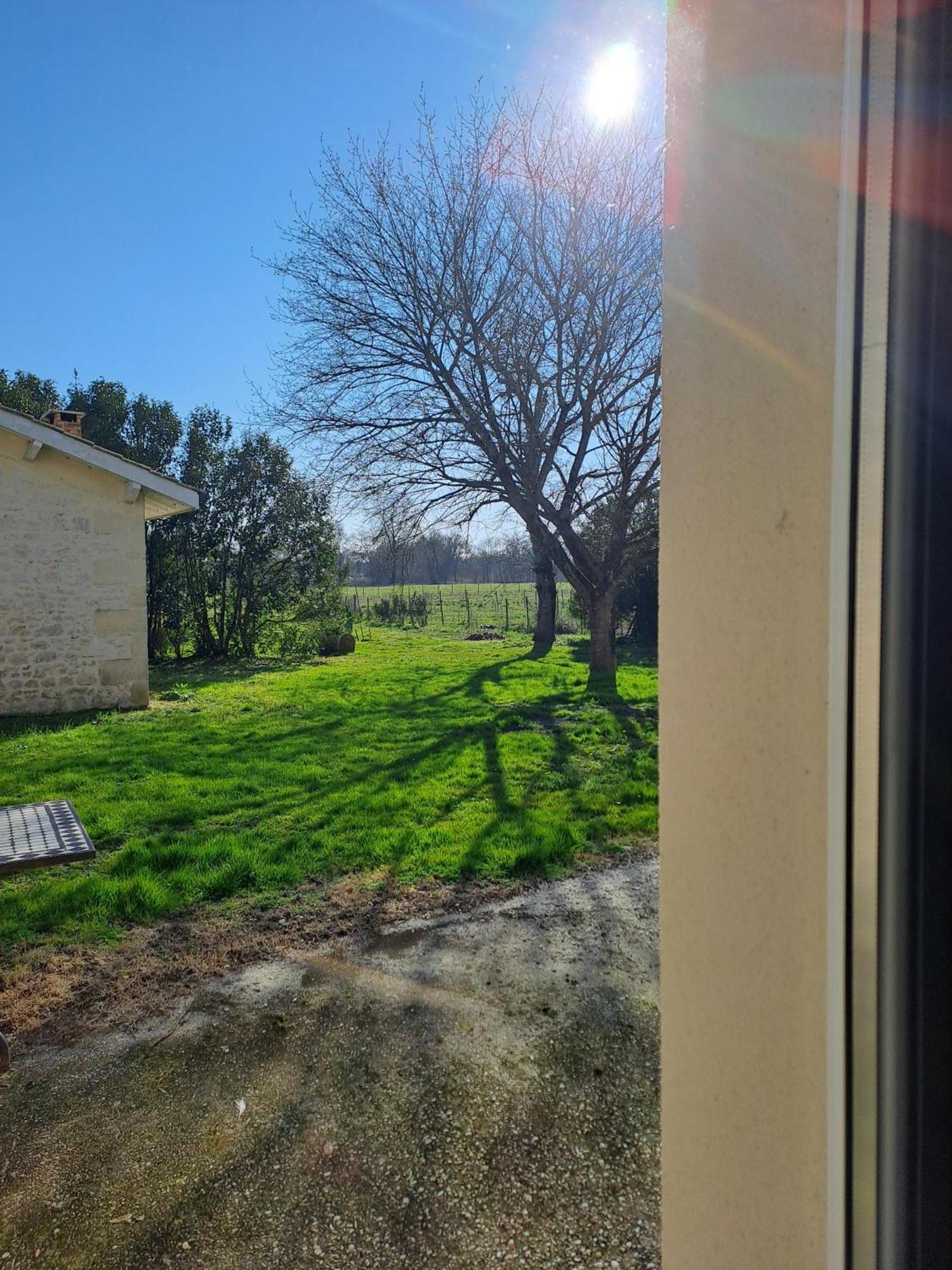Chambres D'Hotes Chateau Pierre De Montignac Civrac-en-Médoc Dış mekan fotoğraf