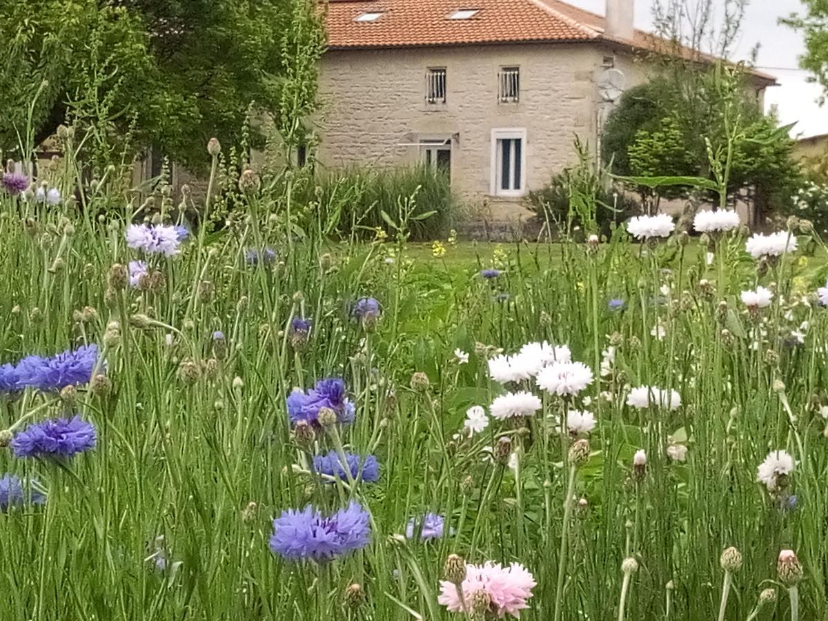 Chambres D'Hotes Chateau Pierre De Montignac Civrac-en-Médoc Dış mekan fotoğraf