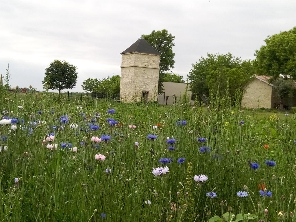 Chambres D'Hotes Chateau Pierre De Montignac Civrac-en-Médoc Dış mekan fotoğraf