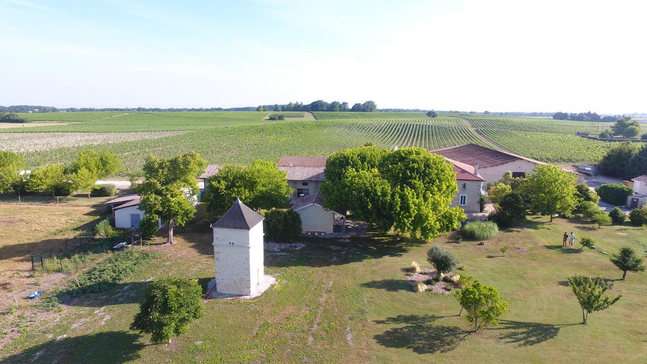 Chambres D'Hotes Chateau Pierre De Montignac Civrac-en-Médoc Dış mekan fotoğraf